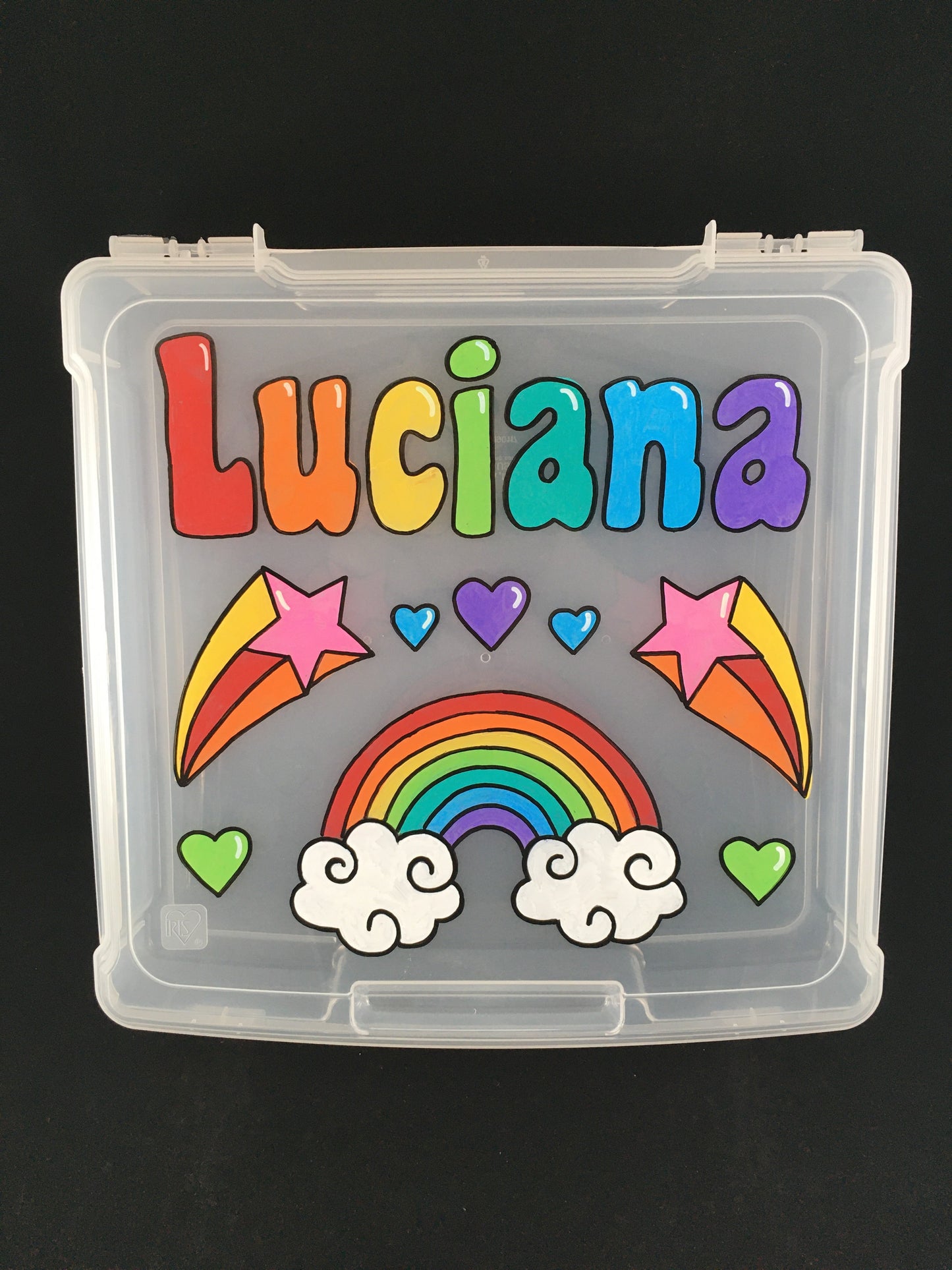 SMALL hand-painted personalized storage case